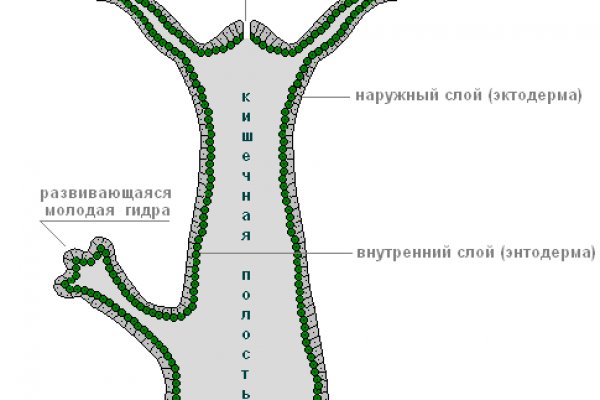 Кракен зайти зеркало