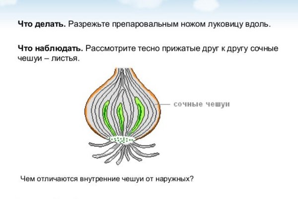 Кракен 17 рабочая ссылка