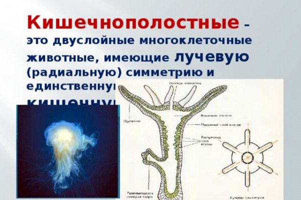 Кракен что продают