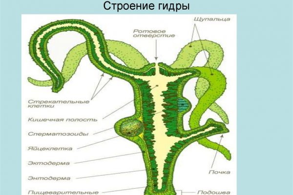 Кракен ссылка зайти