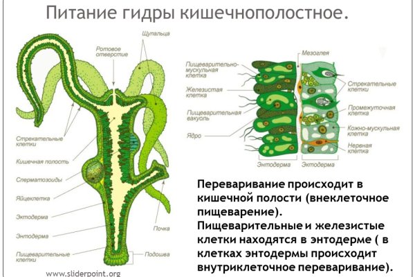 Кракен даркнет только через стор