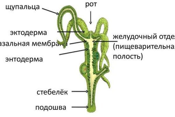 2krn сс что это